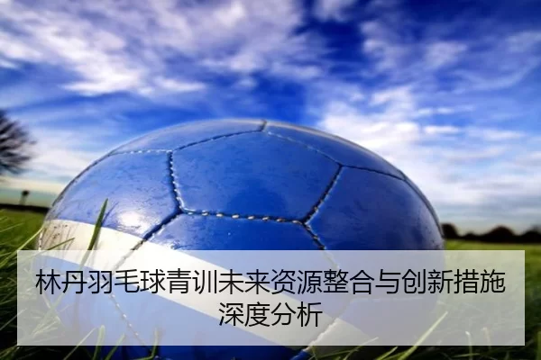 林丹羽毛球青训未来资源整合与创新措施深度分析